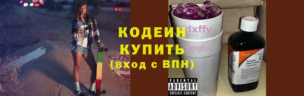 эйфоретик Гусь-Хрустальный